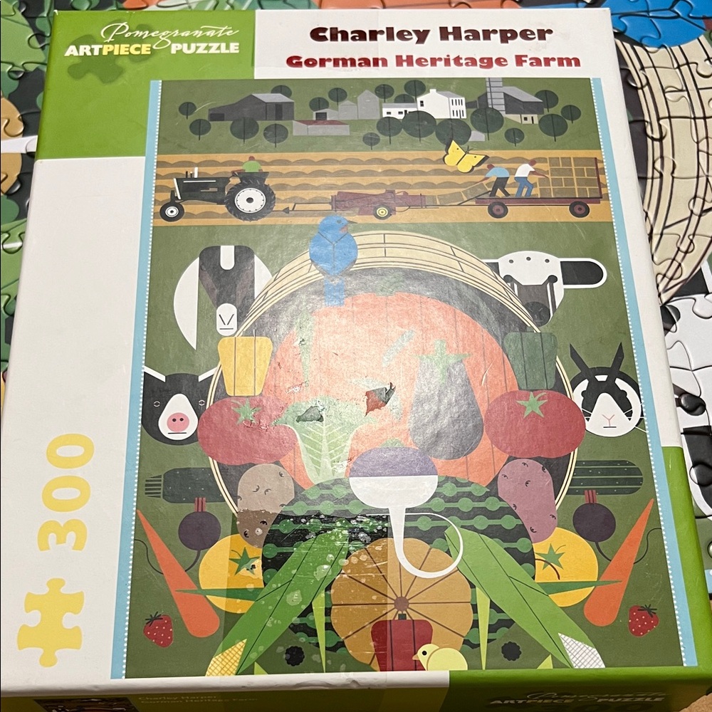 300 pieces puzzle in EUC